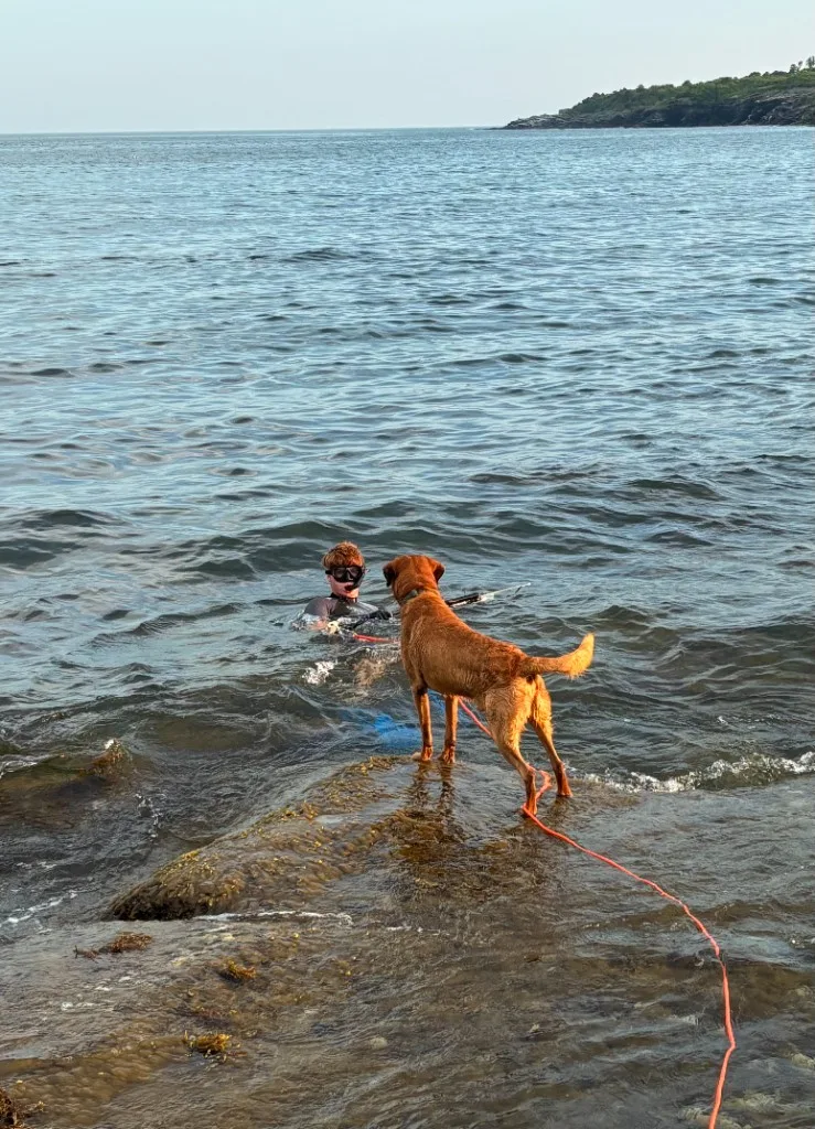 Rowan Frew spearfishing in the ocean with his dog on the rocks